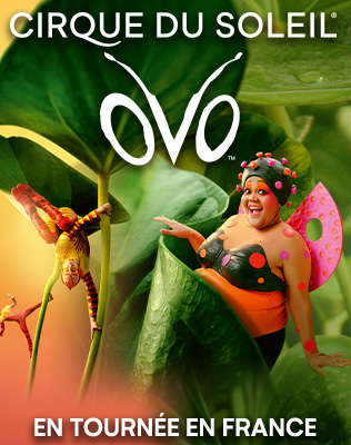 Cirque du Soleil - OVO